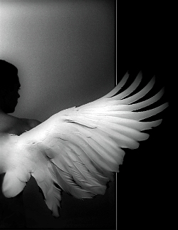 Жил-был ангел